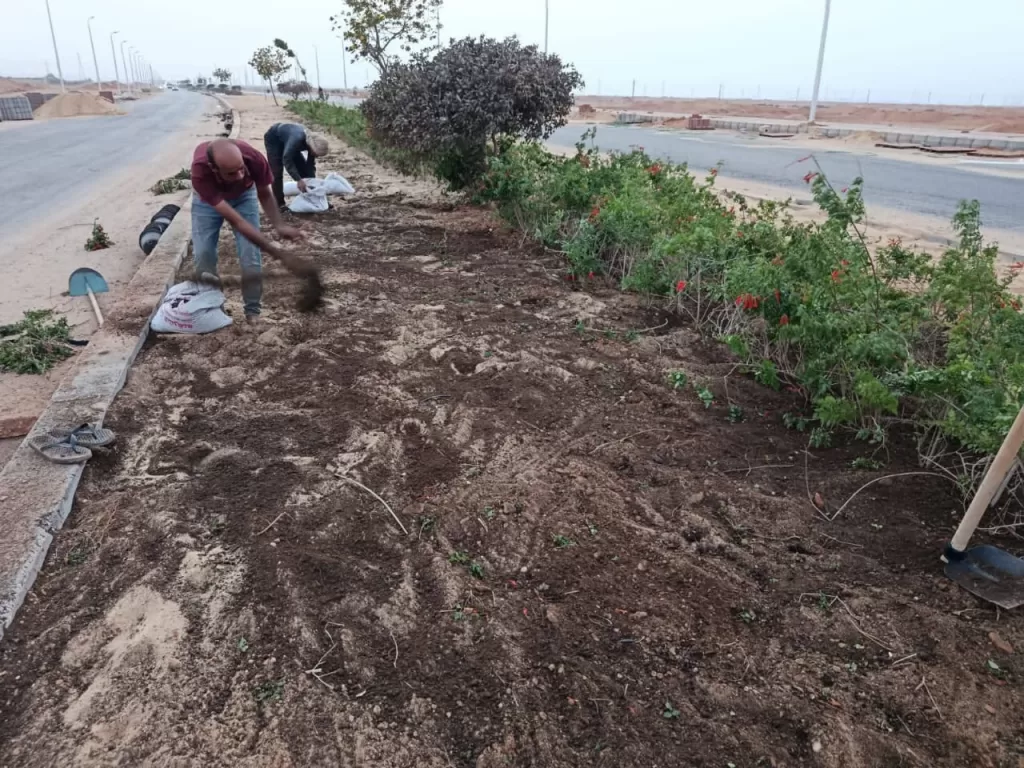 WhatsApp Image 2025 11 12 at 8.29.36 PM - جريدة الجمهورية