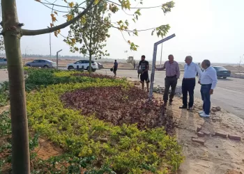 رفع كفاءة الطرق والتشجير في حدائق العاشر من رمضان