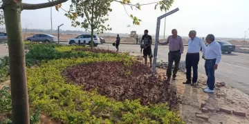 رفع كفاءة الطرق والتشجير في حدائق العاشر من رمضان