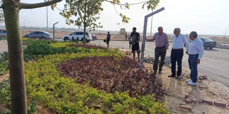 رفع كفاءة الطرق والتشجير في حدائق العاشر من رمضان