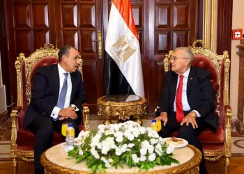 وزير الخارجية يهنئ رئيس مجلس الشيوخ ويبحثان تعزيز التعاون في الملفات الوطنية