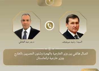 وزير الخارجية: استعداد الشركات المصرية لتوظيف خبراتها في تلبية احتياجات السوق التركمانستانية