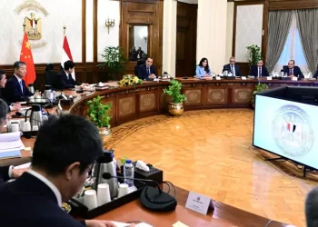القاهرة وبكين.. مباحثات موسعة لتعميق التعاون في الصناعة والطاقة والبنية التحتية