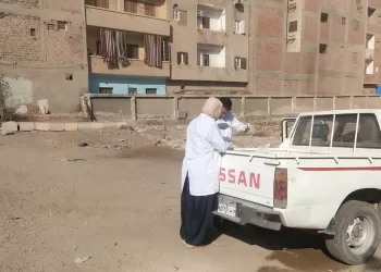 حملة مكثفة لتحصين كلاب الشوارع ضد «السعار» في بني سويف