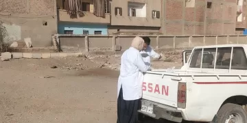 حملة مكثفة لتحصين كلاب الشوارع ضد «السعار» في بني سويف