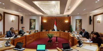 لقاء مصري – دنماركي لبحث تطورات الملاحة في البحر الأحمر