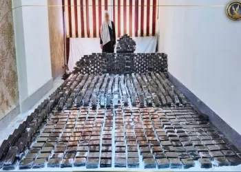 الداخلية توجه ضربات استباقية «لمافيا الموت».. سيدة الإسكندرية وأعوانها سقطوا بشحنة مخدرات قيمتها 113 مليونًا