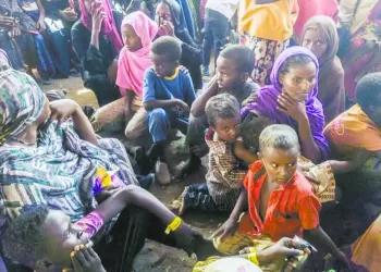 الفاشر.. القتل مستمر.. والعالم يصمت 3 - جريدة الجمهورية الفاشر.. القتل مستمر.. والعالم يصمت