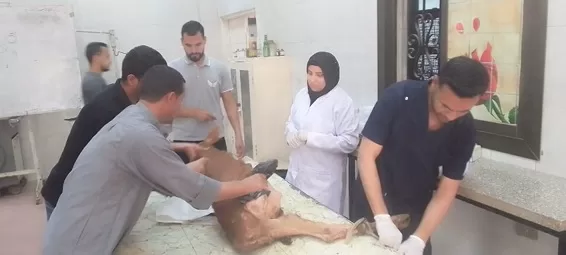 013 2 - جريدة الجمهورية