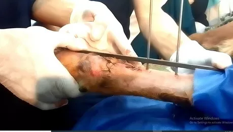 014 1 - جريدة الجمهورية