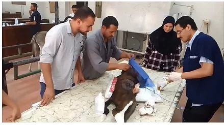 016 - جريدة الجمهورية