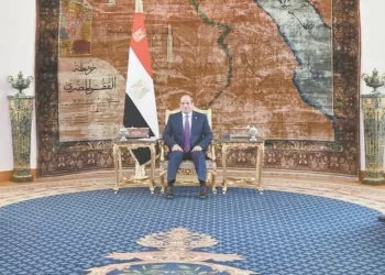 دعم مصرى كامل لسيادة واستقرار ليبيا