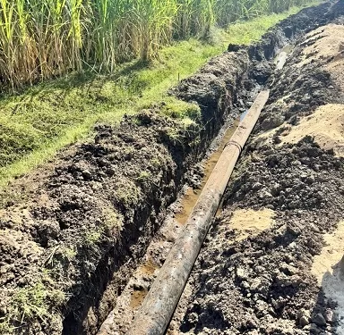 ​الزراعة تواصل أعمال مشروع تطوير ري قصب السكر في«     قفط وقوص » بقنا