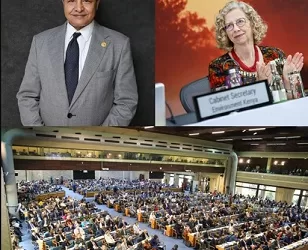 انطلاق فعاليات الدورة السابعة لجمعية الأمم المتحدة للبيئة UNEA-7 بنيروبي 2 - جريدة الجمهورية انطلاق فعاليات الدورة السابعة لجمعية الأمم المتحدة للبيئة UNEA-7 بنيروبي