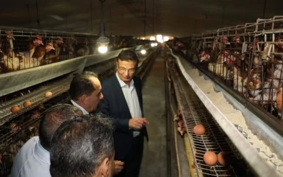 12 15 - جريدة الجمهورية