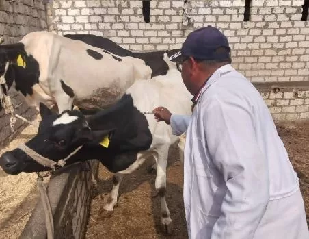 15 11 - جريدة الجمهورية