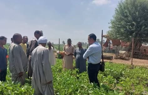 17 6 - جريدة الجمهورية