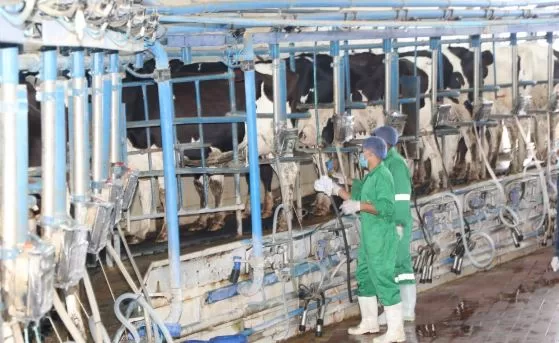 18 7 - جريدة الجمهورية