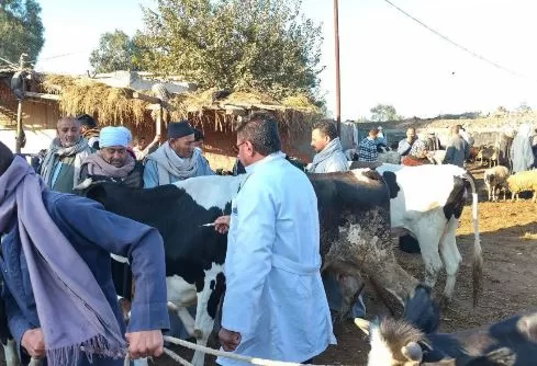 19 5 - جريدة الجمهورية