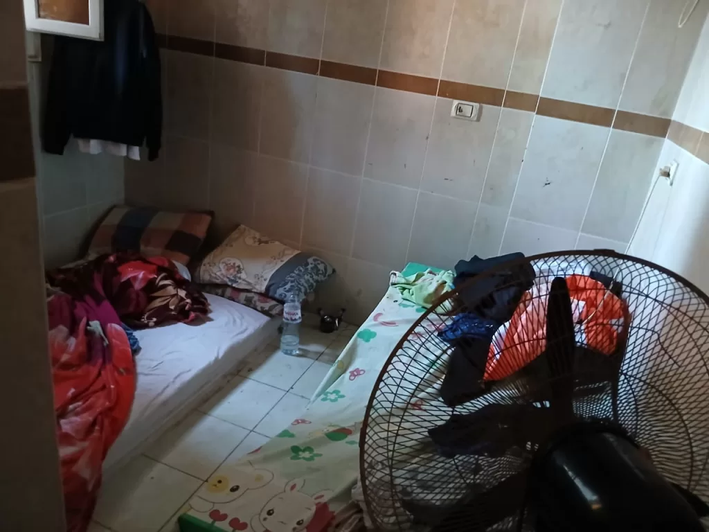 33 3 - جريدة الجمهورية