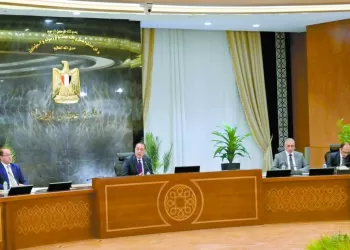 دعم القطاع الخاص لينطلق بقوة حوافز لتشجيع الاستثمار فى المعادن النادرة والذهب