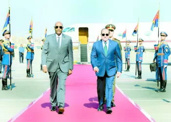 ضرورة وقف الجرائم بحق الشعب الشقيق