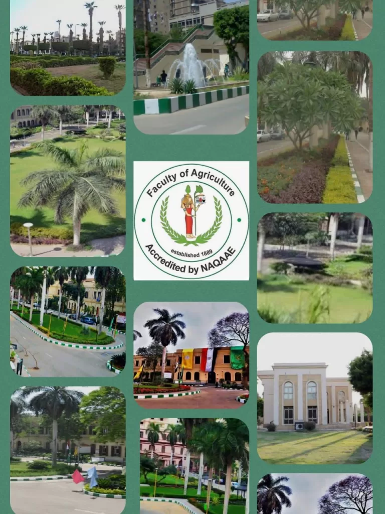 5 24 - جريدة الجمهورية