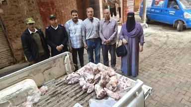 2 طن لحوم ودواجن فاسدة في المنوفية.. و29 محضراً في شهر 1 - جريدة الجمهورية 2 طن لحوم ودواجن فاسدة في المنوفية.. و29 محضراً في شهر