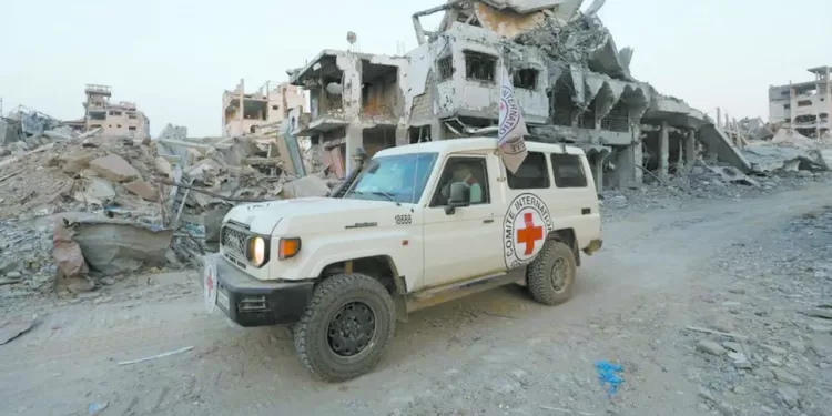 «طولان» يصحح الأخطاء قبل مواجهة «النشامى»