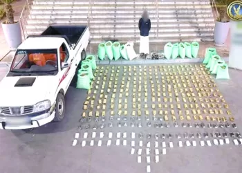 ضبط «شقى خطر» بشحنة من «الكيف المدمر» 2 - جريدة الجمهورية بيراميدز ينتظر الفائز من فلامنجو وكروز أزول فى كأس القارات