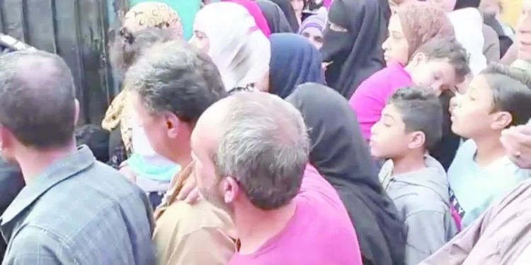 «الوطنية للانتخابات» : القضاة تسلموا بطاقات الاقتراع والكشوف والصناديق 1 - جريدة الجمهورية بيراميدز ينتظر الفائز من فلامنجو وكروز أزول فى كأس القارات