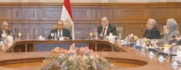 أى إضرار بمصالح مصر «سيُقابَل برد فعل واضح»