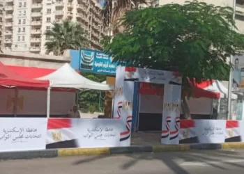 محافظة الإسكندرية ترفع حالة الاستعداد القصوى لإعادة انتخابات مجلس النواب بدائرة الرمل.. غدًا
