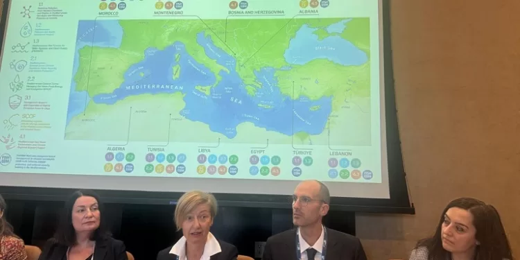 منال عوض: ضرورة دعم الإدارة المتكاملة للمناطق الساحلية لمواجهة التلوث وتغير المناخ