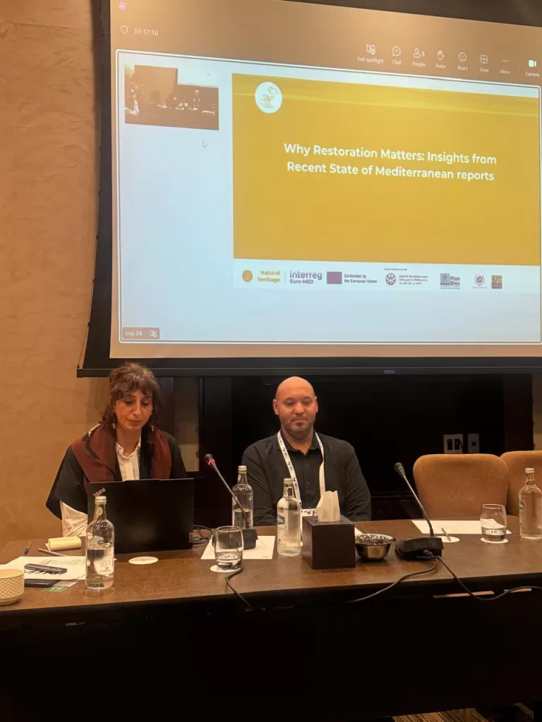 WhatsApp Image 2025 12 04 at 11.52.06 f28a7793 - جريدة الجمهورية