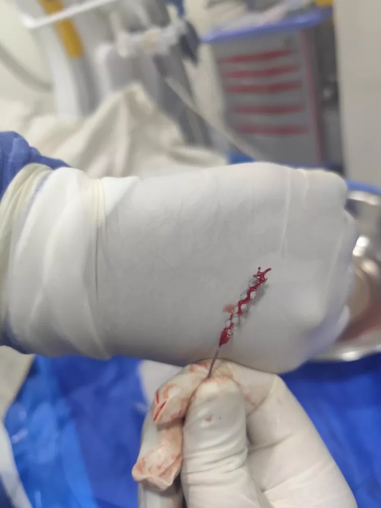 WhatsApp Image 2025 12 04 at 4.26.12 PM - جريدة الجمهورية