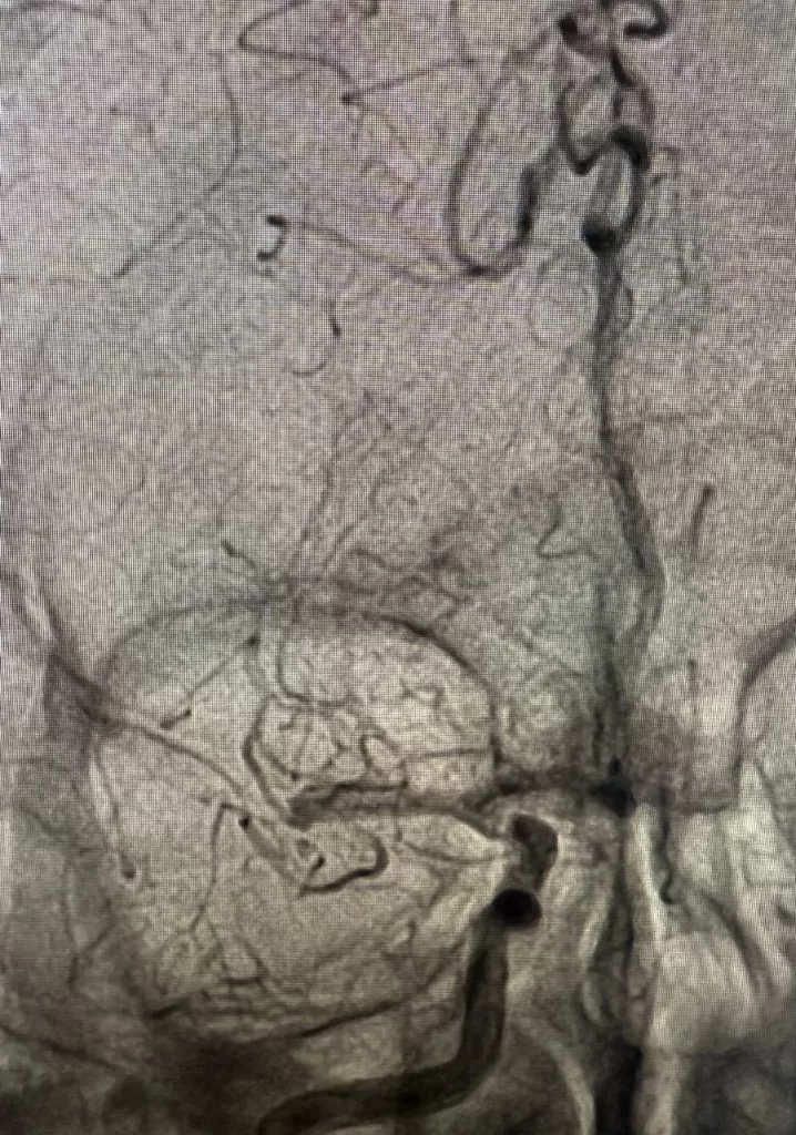 WhatsApp Image 2025 12 04 at 4.26.15 PM - جريدة الجمهورية