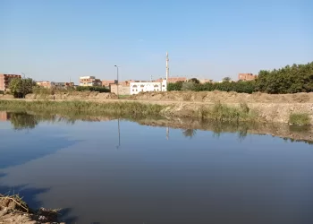 فريق «وحدة صيد التماسيح» بأسوان يصل الى محافظة الشرقية لفك لغز قرية الزوامل 9 - جريدة الجمهورية فريق «وحدة صيد التماسيح» بأسوان يصل الى محافظة الشرقية لفك لغز قرية الزوامل