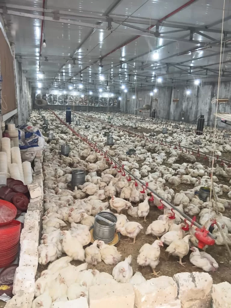 WhatsApp Image 2025 12 09 at 12.33.56 PM - جريدة الجمهورية