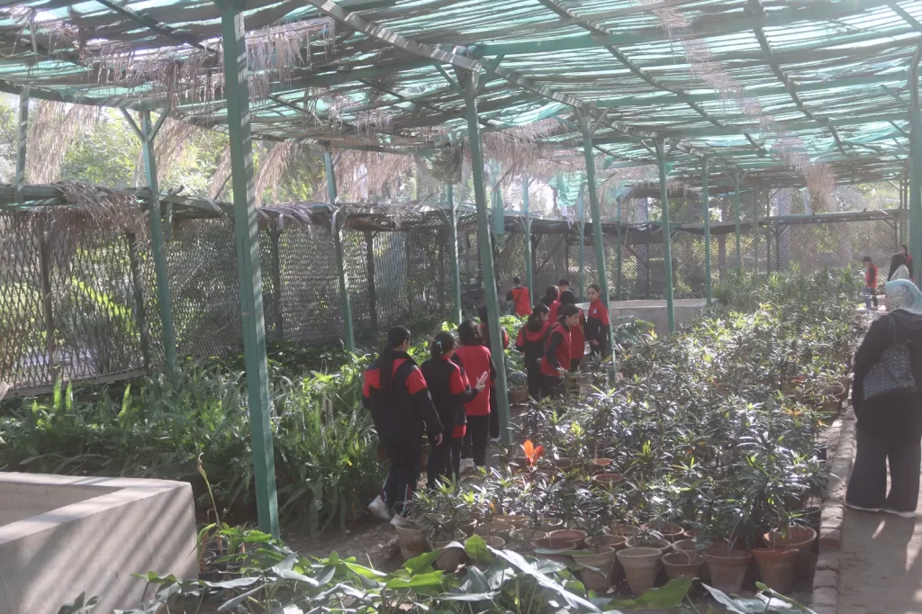 توعية بيئية عملية: جولة ميدانية لطلاب المدرسة اليابانية في مشتل جهاز العاشر من رمضان 2 - جريدة الجمهورية WhatsApp Image 2025 12 09 at 4.31.07 PM - جريدة الجمهورية