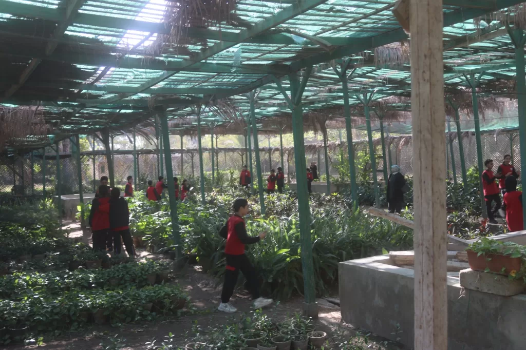 توعية بيئية عملية: جولة ميدانية لطلاب المدرسة اليابانية في مشتل جهاز العاشر من رمضان 3 - جريدة الجمهورية WhatsApp Image 2025 12 09 at 4.31.08 PM - جريدة الجمهورية