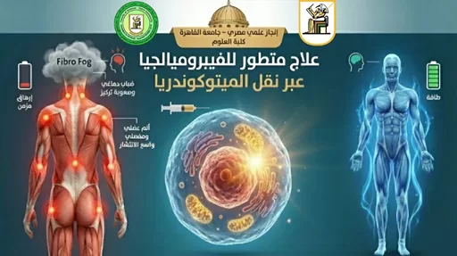 باحثو جامعة القاهرة يضيئون الأمل لمرضى الفيبروميالجيا ببحث رائد عن نقل الميتوكوندريا 1 - جريدة الجمهورية باحثو جامعة القاهرة يضيئون الأمل لمرضى الفيبروميالجيا ببحث رائد عن نقل الميتوكوندريا