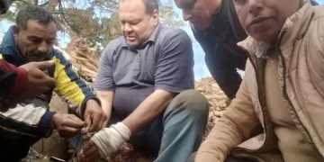 بعد 7 أيام من البحث: نجاح اصطياد «تمساح الزوامل» بالشرقية