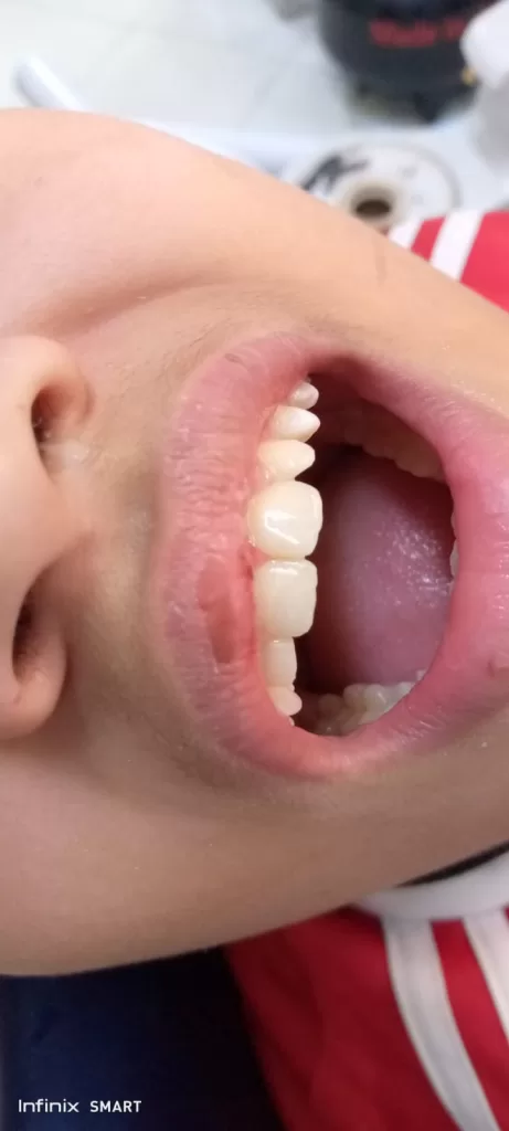 WhatsApp Image 2025 12 11 at 3.45.08 PM 1 - جريدة الجمهورية