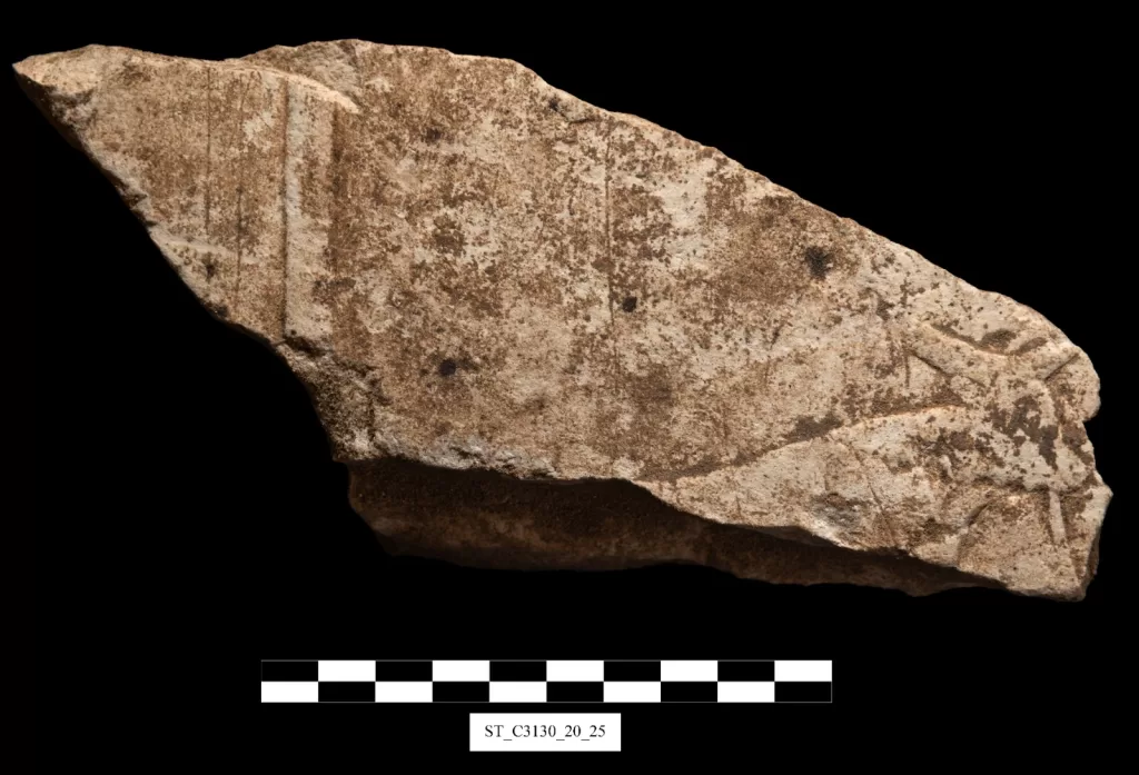 الكشف عن بقايا معبد الوادي للمجموعة الشمسية للملك «ني أوسر رع» بمنطقة أبوصير الأثرية 8 - جريدة الجمهورية WhatsApp Image 2025 12 12 at 1.10.26 PM - جريدة الجمهورية