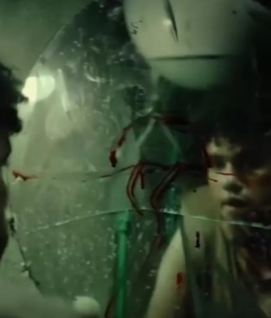 WhatsApp Image 2025 12 12 at 3.00.40 PM - جريدة الجمهورية