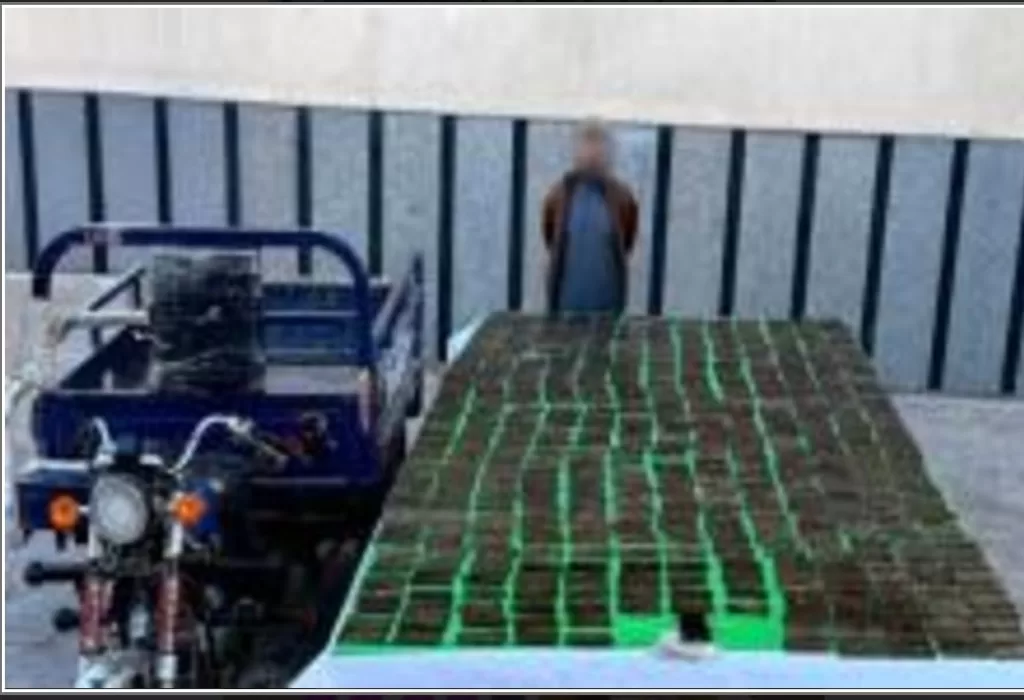 «الداخلية»: مصرع عنصر إجرامي شديد الخطورة بالفيوم.. وإسقاط بؤر للمخدرات والسلاح بـ99 مليون جنيه 14 - جريدة الجمهورية WhatsApp Image 2025 12 12 at 5.39.01 PM 1 - جريدة الجمهورية