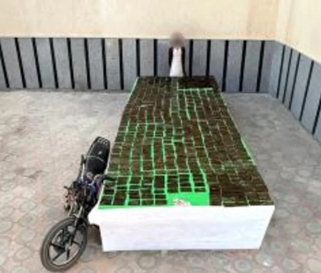 «الداخلية»: مصرع عنصر إجرامي شديد الخطورة بالفيوم.. وإسقاط بؤر للمخدرات والسلاح بـ99 مليون جنيه 13 - جريدة الجمهورية WhatsApp Image 2025 12 12 at 5.39.01 PM 2 - جريدة الجمهورية