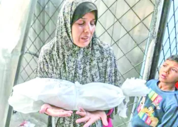 تعنت الاحتلال.. يكدس المئات من شاحنات المساعدات على الجانب الفلسطينى من معبر رفح 2 - جريدة الجمهورية أخر كلام فى الزمالك «عبدالمجيد» بـ 2.5 مليون دولار