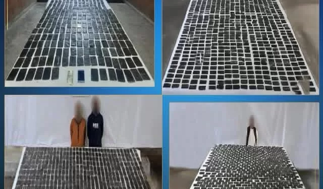 بروتوكول تعاون بين «نقابة الزراعة المصرية» واتحاد عمال «تشانشي» بالصين لتعزيز العمل النقابي